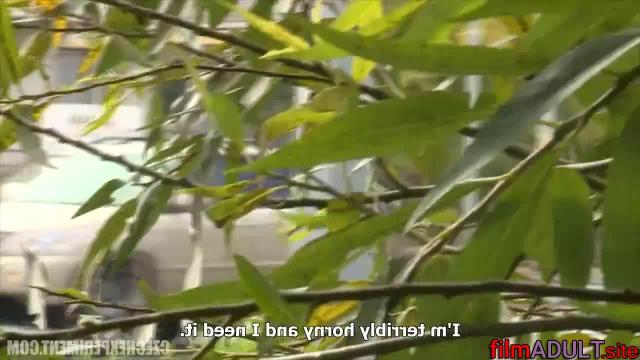 Подглядели за сексом пары в парке - фото 4